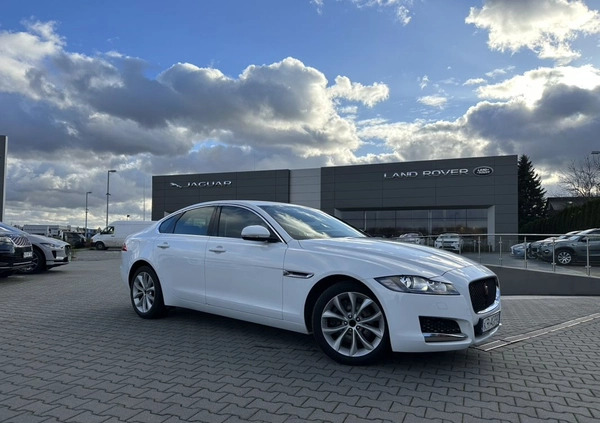 Jaguar XF cena 106000 przebieg: 58000, rok produkcji 2018 z Gorzów Śląski małe 22